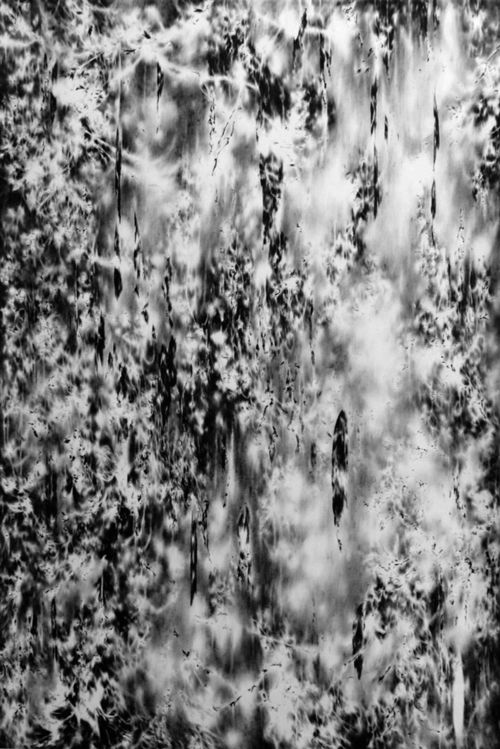 Steiner, Julia - Zeichnung, Malerei, vertical space (hanging-growing) I
