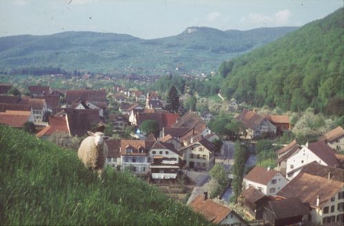 Fotografie, Zunzgen, Blick vom Büchel