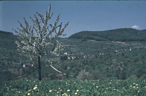 Fotografie, Rickenbach, Blick zum Farnsberg