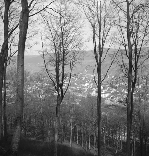 Fotografie, Sissach vom Burgenrain