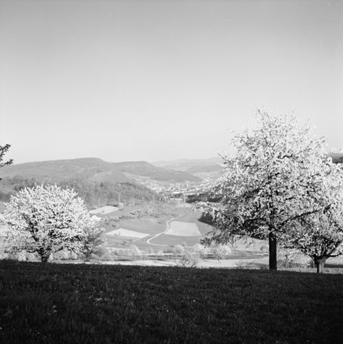 Fotografie, Liestal, Röserental -> Ergolztal aufwärts