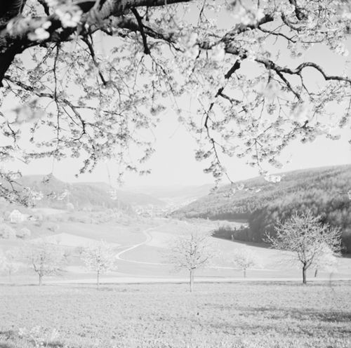 Fotografie, Liestal, Röseren - Ergolztal