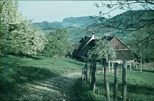 Fotografie, Arboldswil, Bauernhof