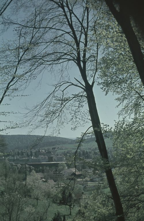 Fotografie, Liestal, Weideli