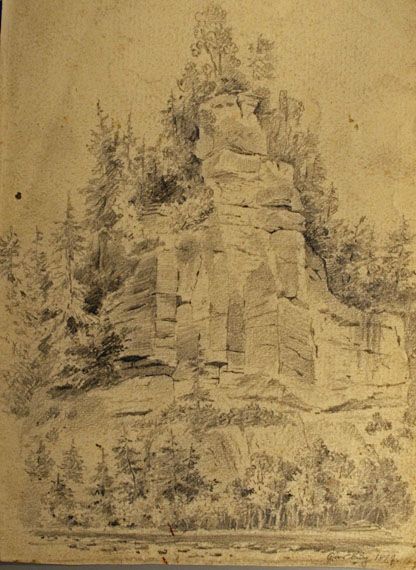 Karl Jauslin (1842-1904) - Zeichnung, Grasburg / Pflanzenstudie